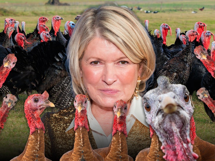 e7cd68dd139f4ec996acf8ab26f22453_md martha stewart turkeys main