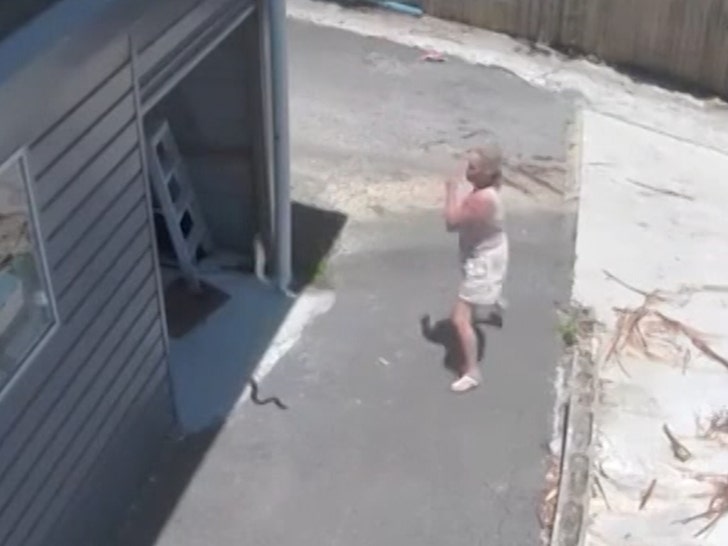 e8aa44f55ba04a6393fb89ae4db53c61_md 112824-snake-1