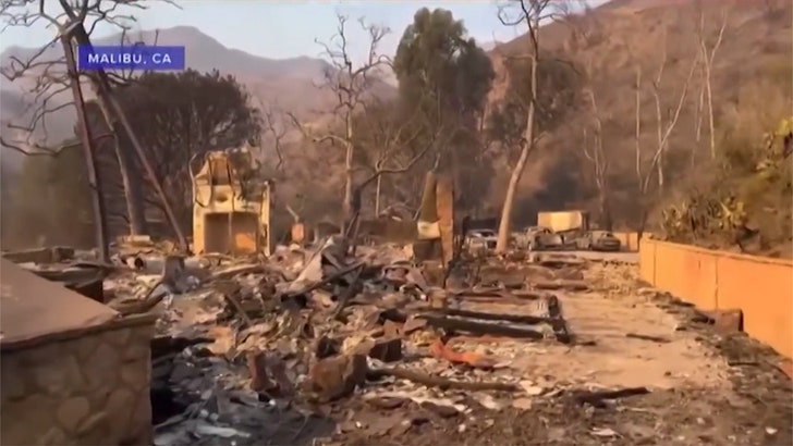 ea499b8c040a433c82b6151429a2c950_md 011025_mel_gibson_house_kal