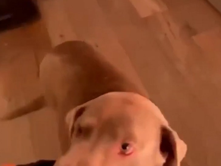 eada9759341644879ce8f2bdf65db31f_md 010825-home-fire-primary-4