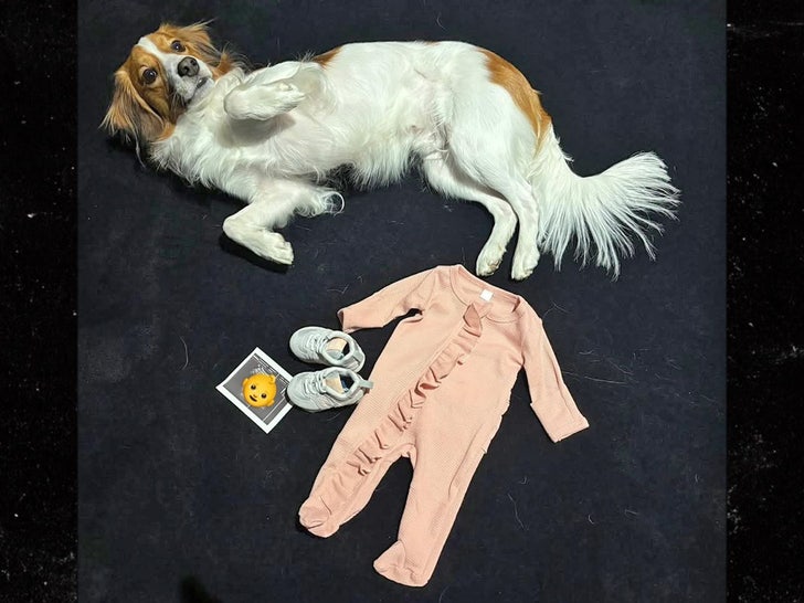 eae2c494089e49f3842e48aa3c966323_md decoy shohei ohtani mamiko tanaka baby announcement instagram