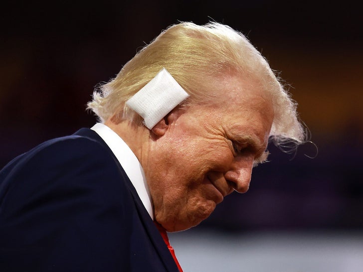 Donald Trump At The Republican National Convention With A Bandage On His Ear photos 8