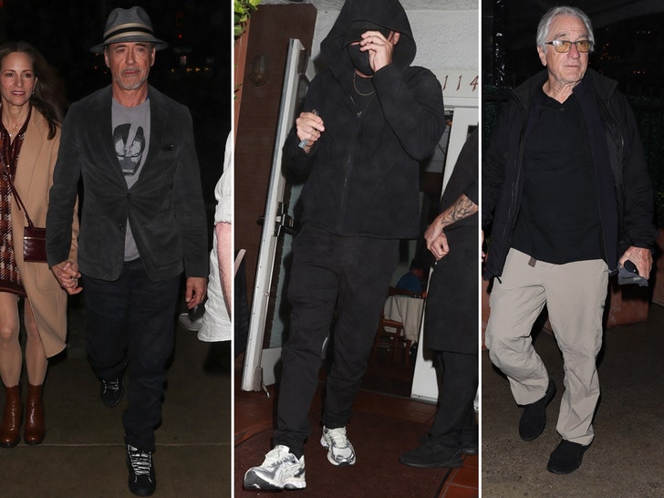 ef08a2127bff40c18e8d1fc35a0bbc29_md ROBERT DENIRO LEO leonardo dicaprio ROBERT DOWNEY JR