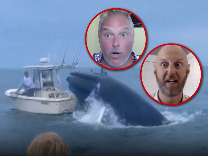 whale sinks boat interview