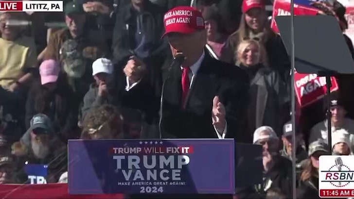 f77d3951cb824ab8994aec0454ae7bea_md 110324_donald_trump-kal