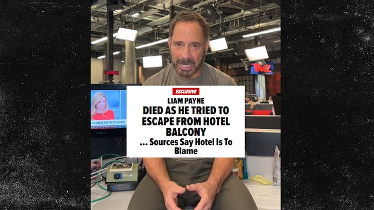 fa4e140f4a804be78a819c8ff1971b76_md 112524_tmz_explains_liam_payne_kal