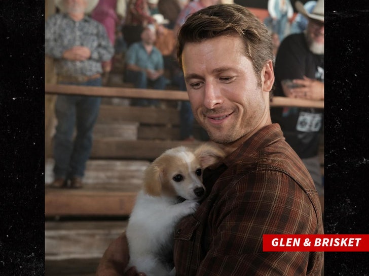 Glen and Brisket sub