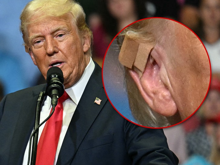 faaa28a610ed469f9fa6340bc304630a_md donald trump bandage main