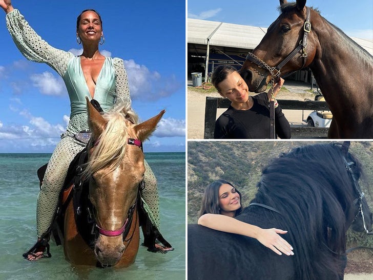 Stars With Horses -- Hay!