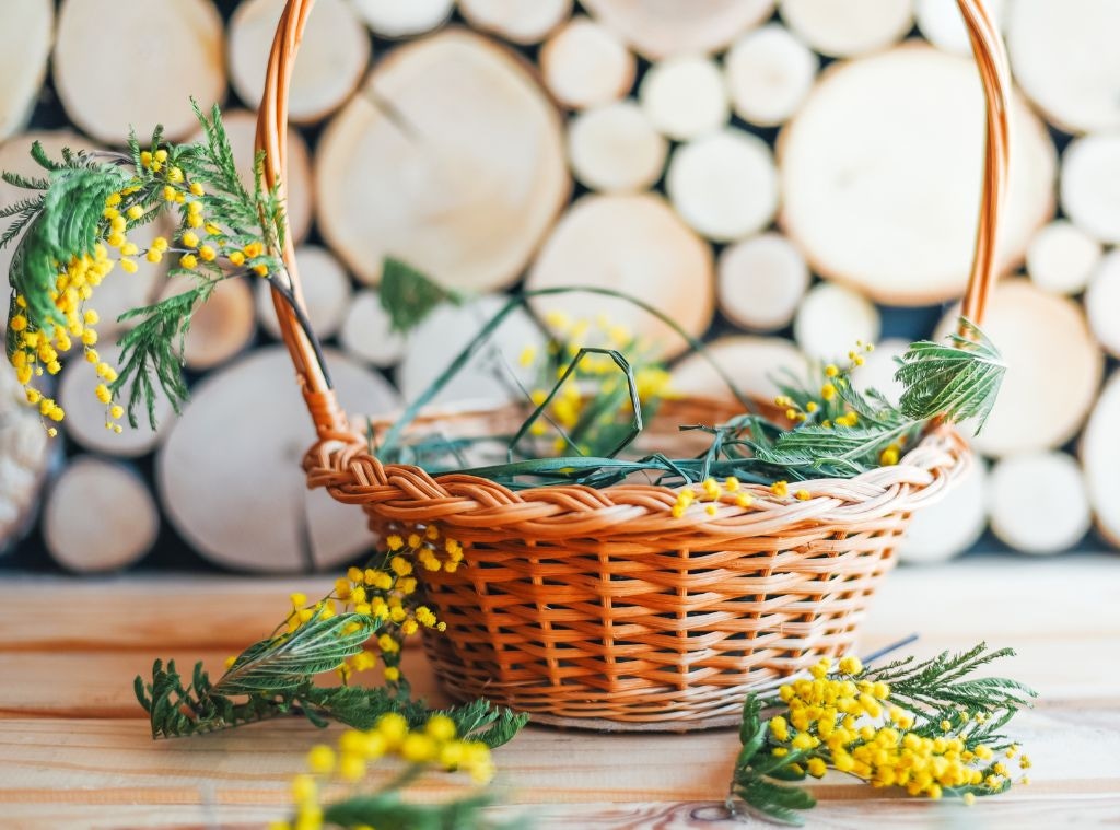 rs_1024x759-240312120557-hero shop_easter basket items not candy_hero