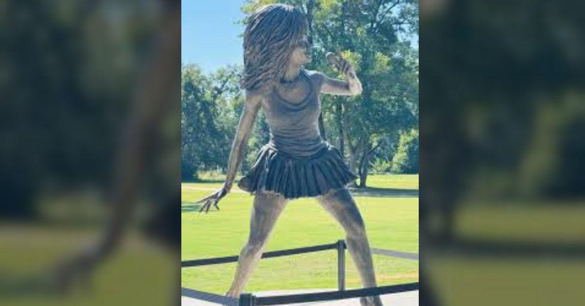 Artist Fred Ajanogha's $150,000 Tina Turner statue in Brownsville faced backlash for its unflattering likeness.