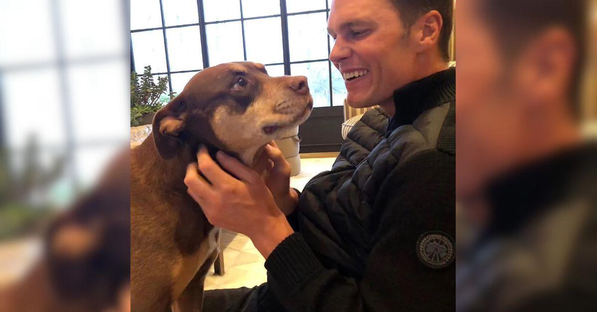 tom-brady-lua-1762294088499 tom brady and lua