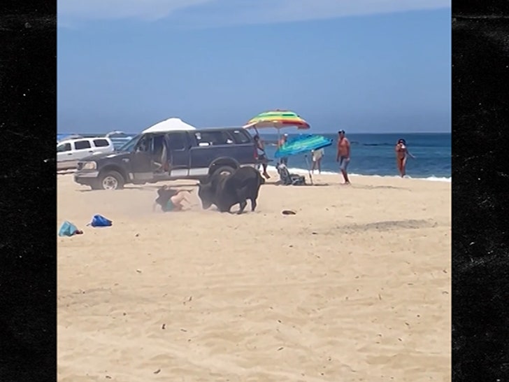 0257613cfa9e4b24883f8b27338cf22f_md 051524-beach-bull-primary-3