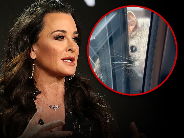 0684191ef24448e4b43935c825bf751c_md kyle richards and mouse