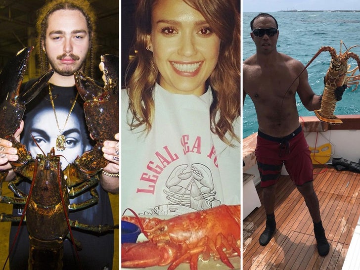 Celebrity Lobster Lovers -- Shellfish Stars