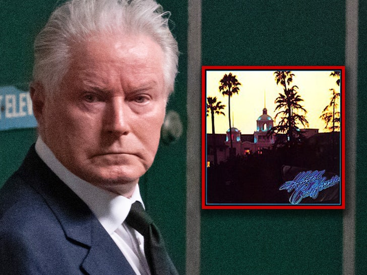 0a25a4f9d1b5434da2bf4b3022859a1a_md Hotel California don henley main