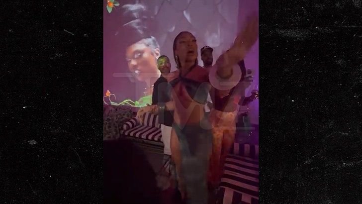 062824_megan_the_stallion_security_guard_fight-kal