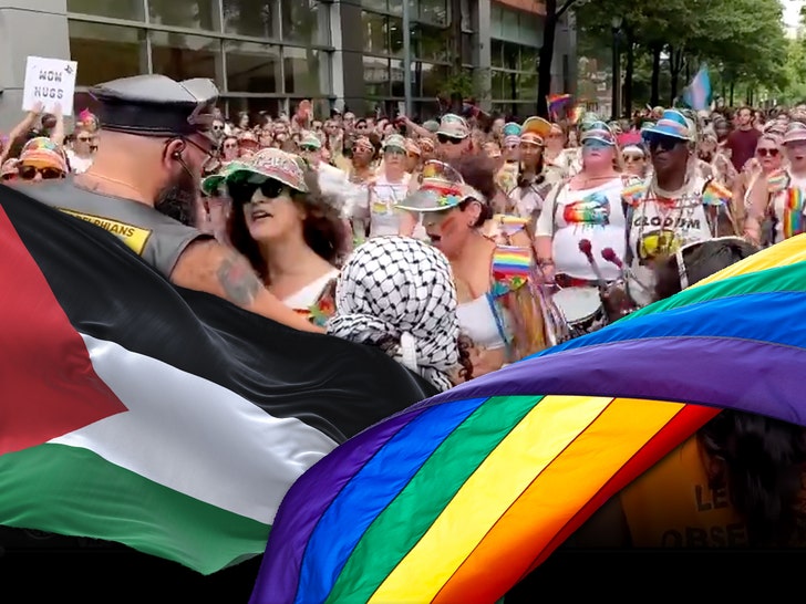 pride march palestine flag pride flag