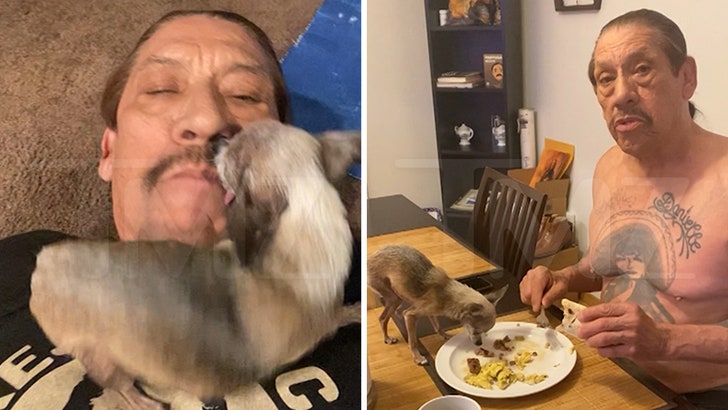 19c1433154fd4fdbbba686eb9085133a_md 070324_danny_trejo_dixie_kal