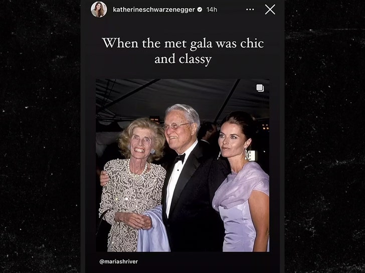 233ae9a2046246b1bad13c7df85aadbb_md katherine Schwarzenegger