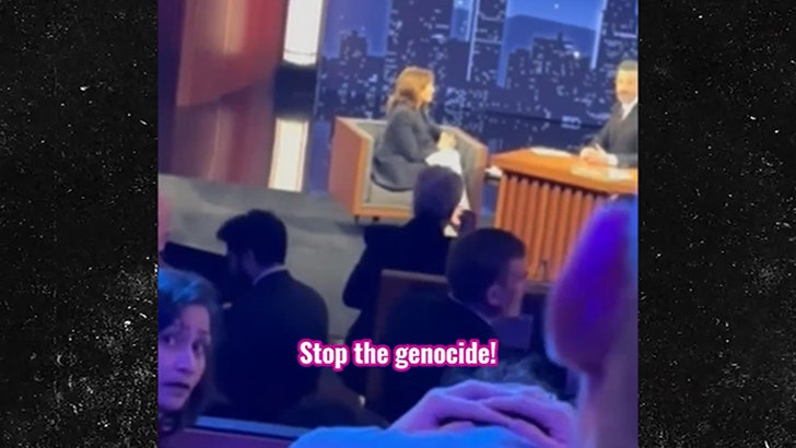 26abfe43713643328d940600b6b149ae_md 060624_kamala_harris_protesters_kal