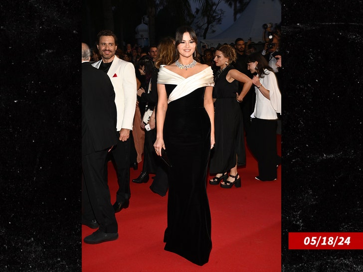 280c5eafbef2405fa1640d2851d49c99_md selena gomez at cannes