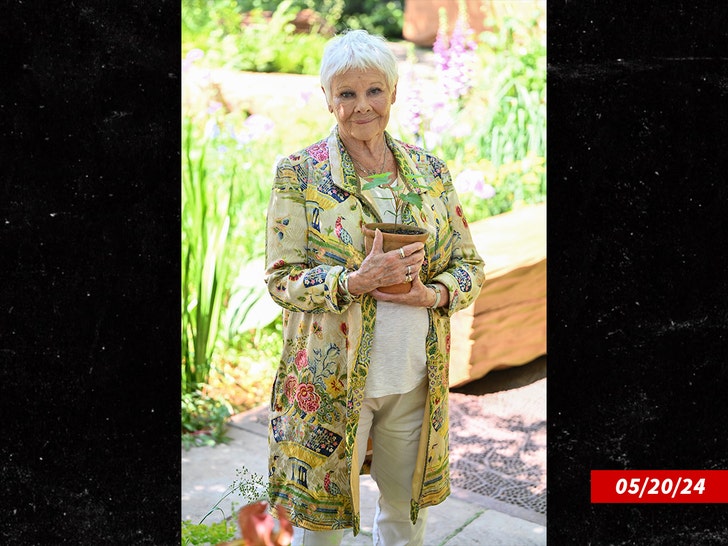 2adb4ce394364d2b8247806d3414e216_md judi dench