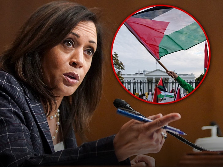 2bb12f25d453461e96046dc1a9f026b2_md kamala harris palestine flag