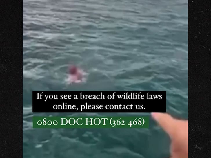 052224-bodyslamming-whale-3