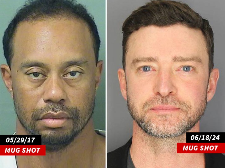 0705 tiger woods justin timberlake mug dwi palm beach county sheriffs office