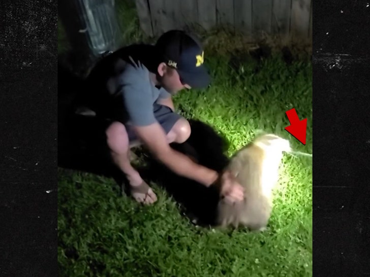 061924-raccoon-choke-2