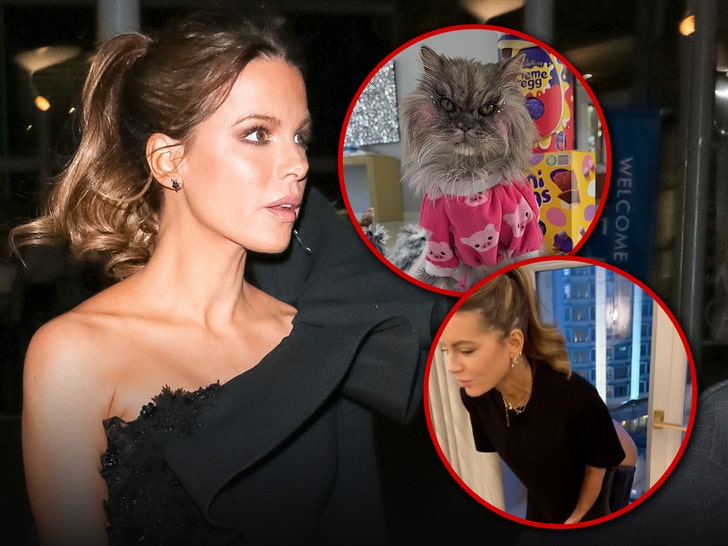 Kate Beckinsale and cat mooning insta getty 1