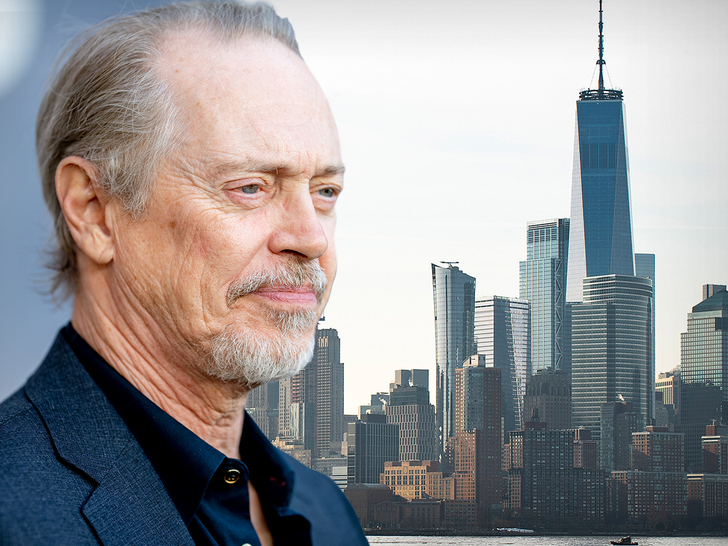 40464f2cd3d246e6bb46dc5b0d72d97a_md Steve Buscemi