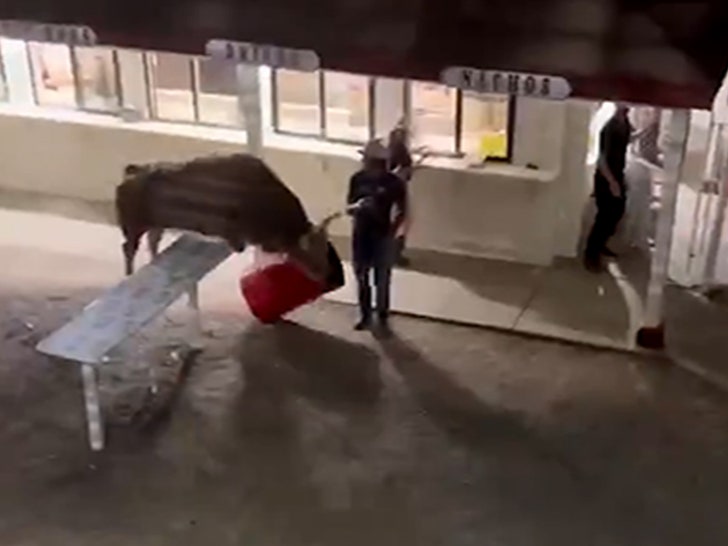 42123c6e0cf041fc86f5ce1e479c4aa8_md-1 061024-bull-running-primary-v1