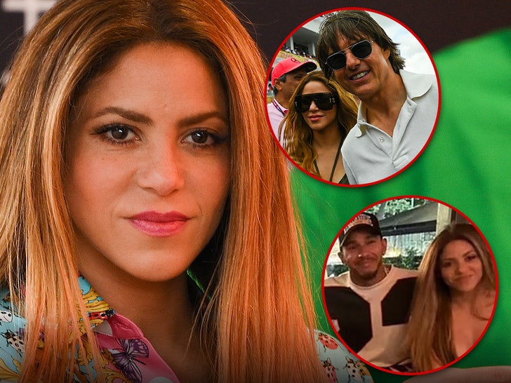 42b0016bc48749d79a48534ed5dce806_md shakira main getty instagram