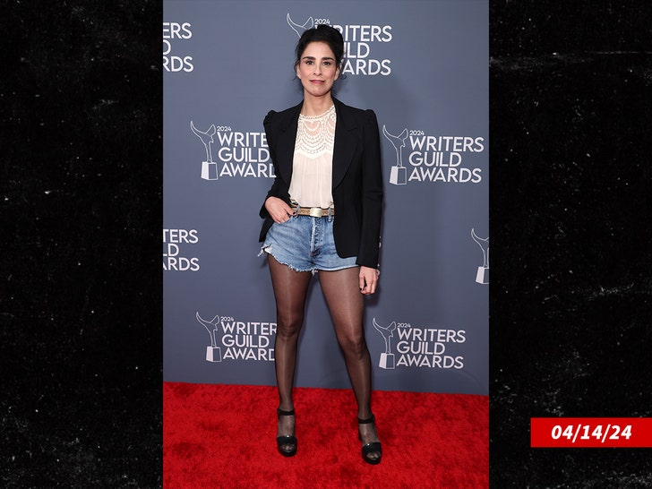 Sarah Silverman getty 1