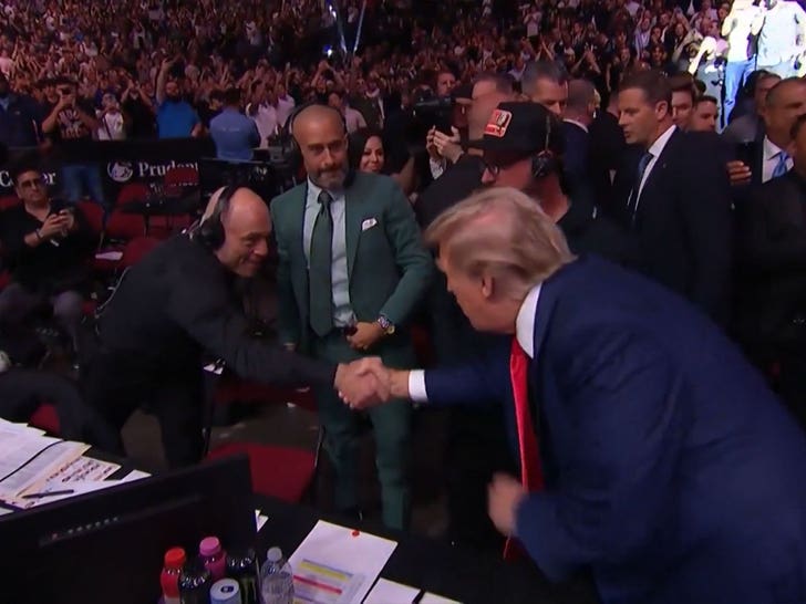 053124-donald-trump-ufc--1