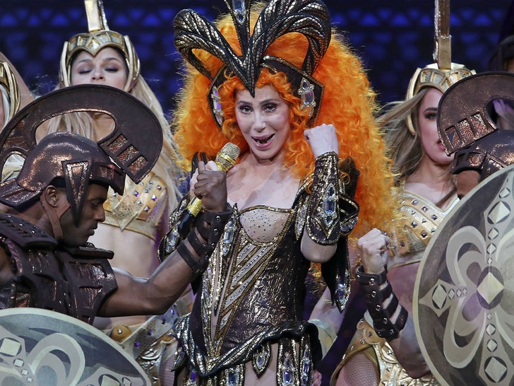 4d298574c72043d5800bb8e462e28258_md Cher Performance Pics