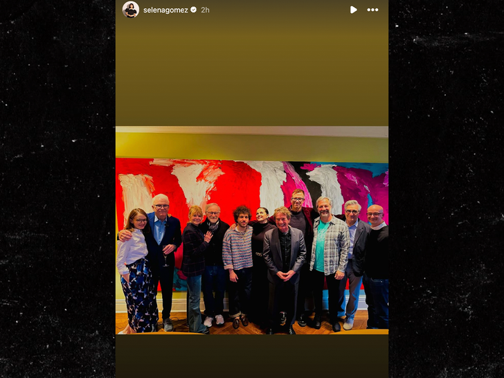 50cc3af5bdb2421db30c3f0b1c833c75_md selena gomez instagram story