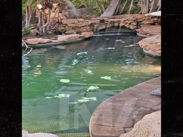 Paul Mitchell's Son Angus Cause of Death Revealed