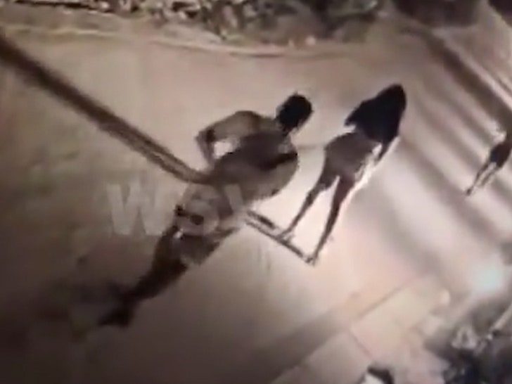 071724-woman-attacked-stalking