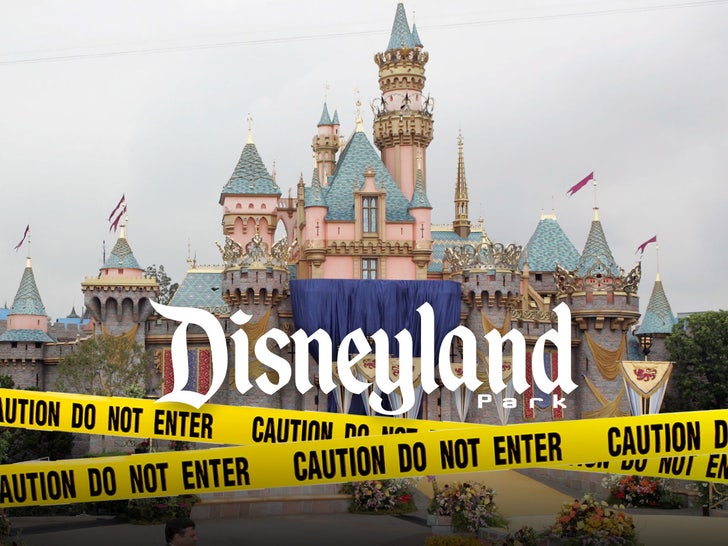 disneyland main with logo