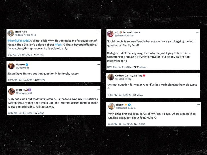 megan thee stallion and family feud twitter 3