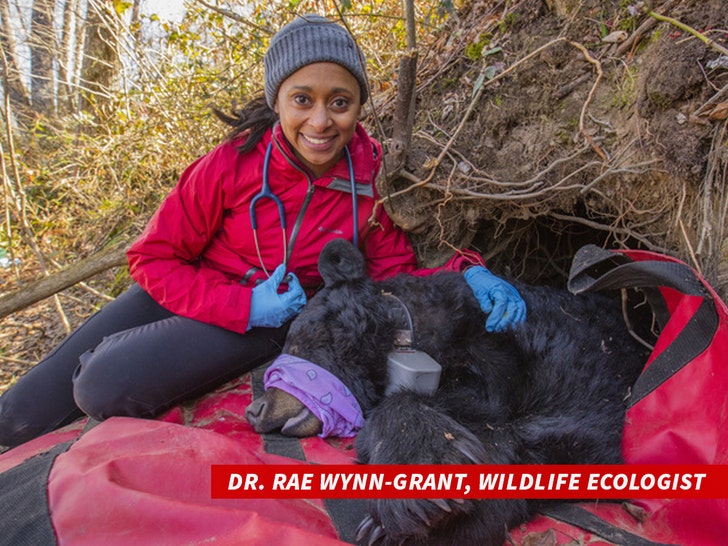 5fb26b9578814143a36366e36ea8a8a1_md Dr. Rae Wynn-Grant, wildlife ecologist