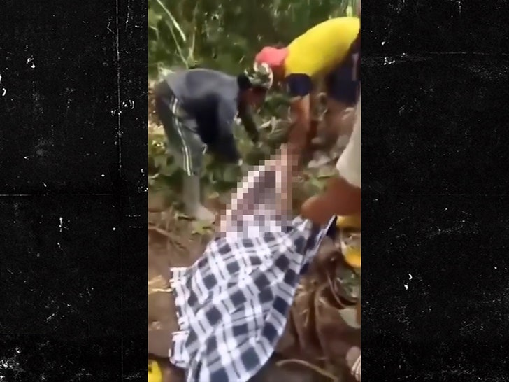 060824-python-cut-open-primary-v3