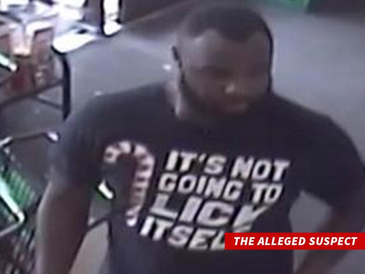 The Alleged Suspect sub