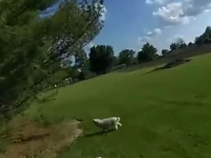 68d117ec3b6c448d8290a7fd6c96ef77_md 052424-police-shoots-dog-1