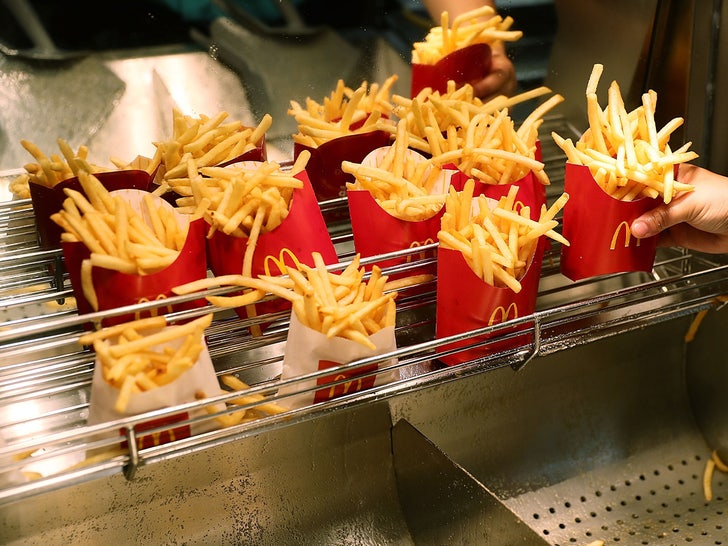 McDonalds Fries in the warmer