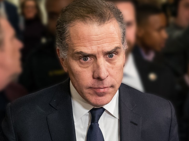 hunter biden getty 1