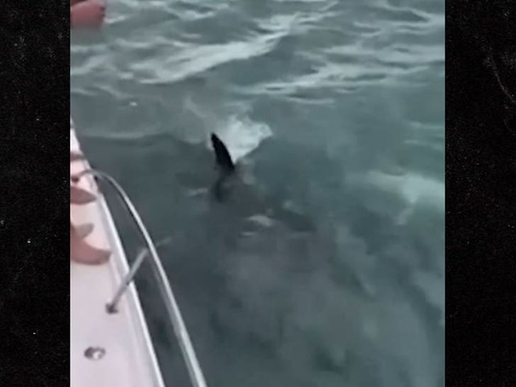 052224-bodyslamming-whale-6